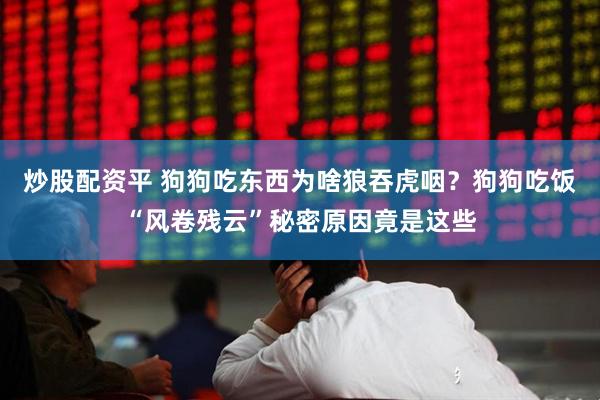 炒股配资平 狗狗吃东西为啥狼吞虎咽？狗狗吃饭“风卷残云”秘密原因竟是这些